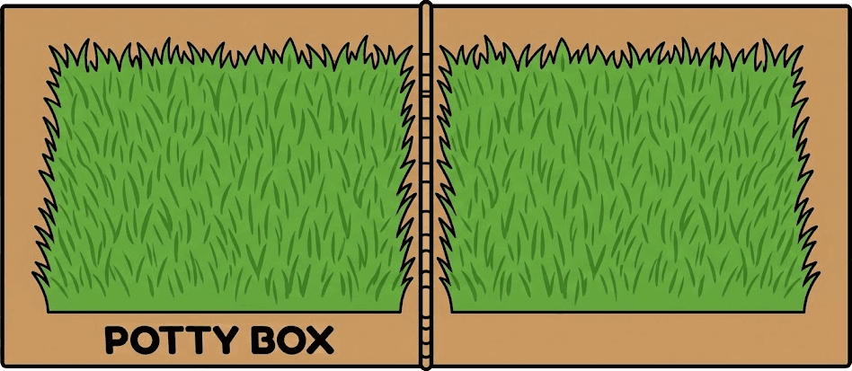 Potty Box, open flat with real grass inside
